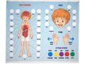 Панно Тело человека (88 элементов)