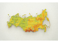 Физическая карта России из дерева на стену "Родина моя" 900×511×30мм